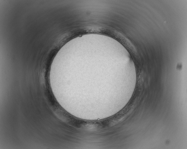 X0000116340209201001131052