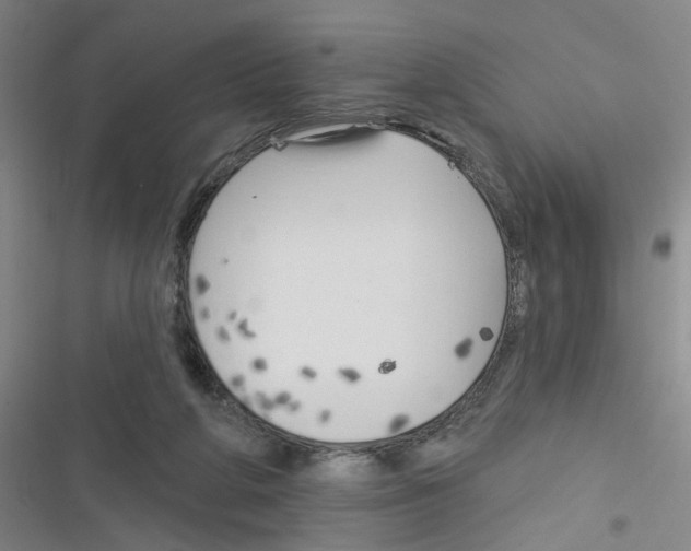 X0000116340210201001131052