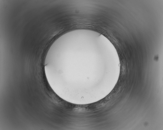 X0000116340211201001131052