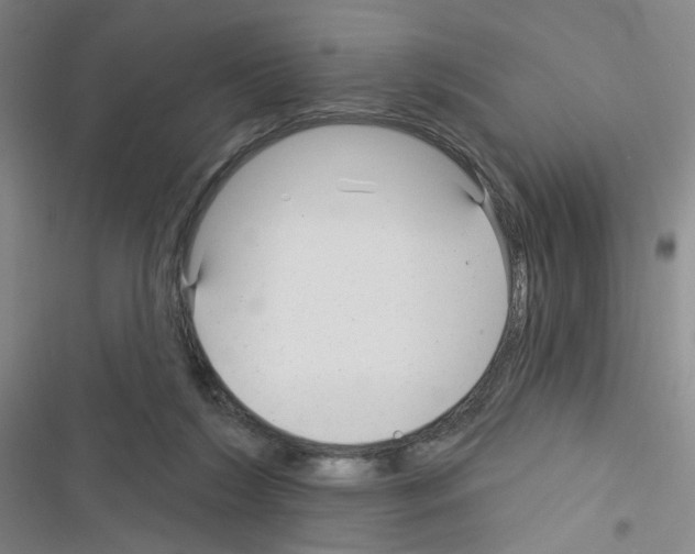 X0000116340212201001131052