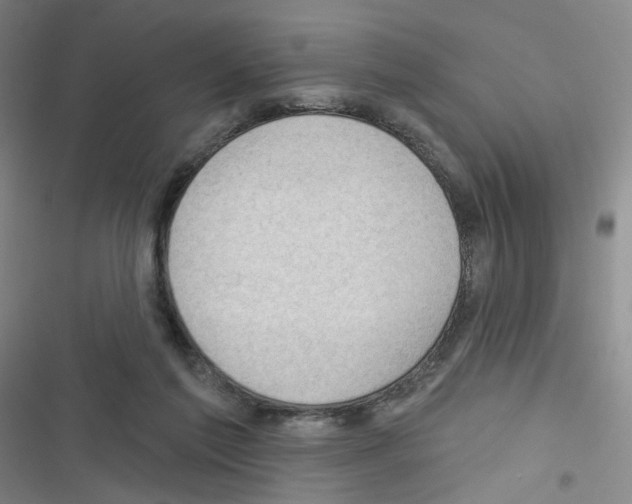 X0000116340213201001131052