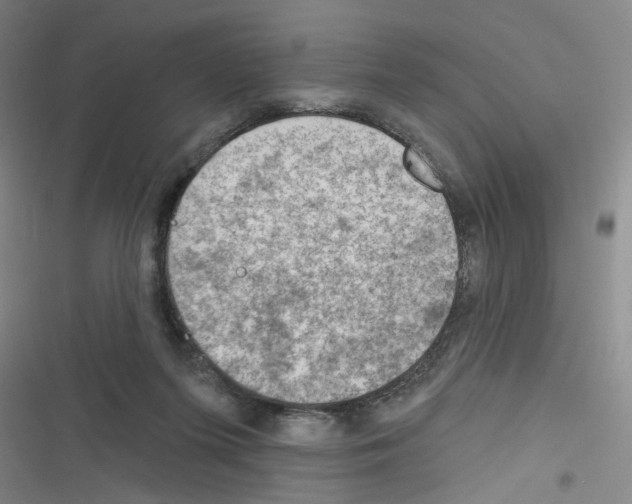 X0000116340215201001131052