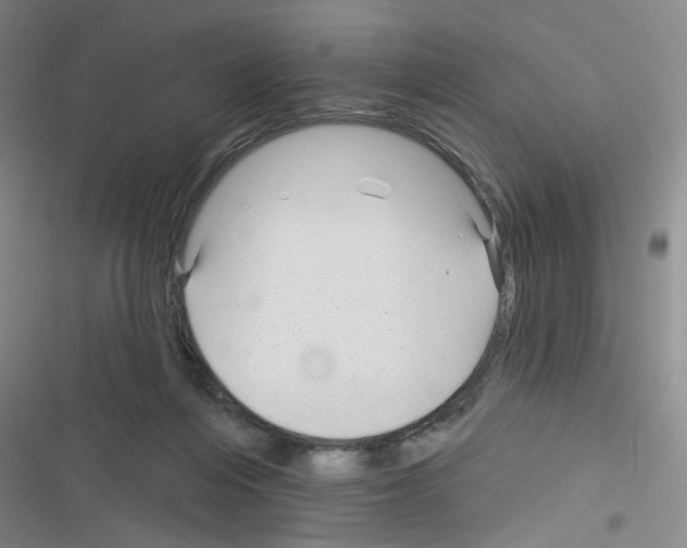 X0000116340216201001131052