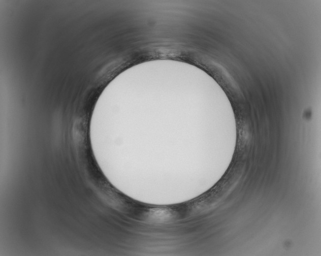 X0000116340218201001131052