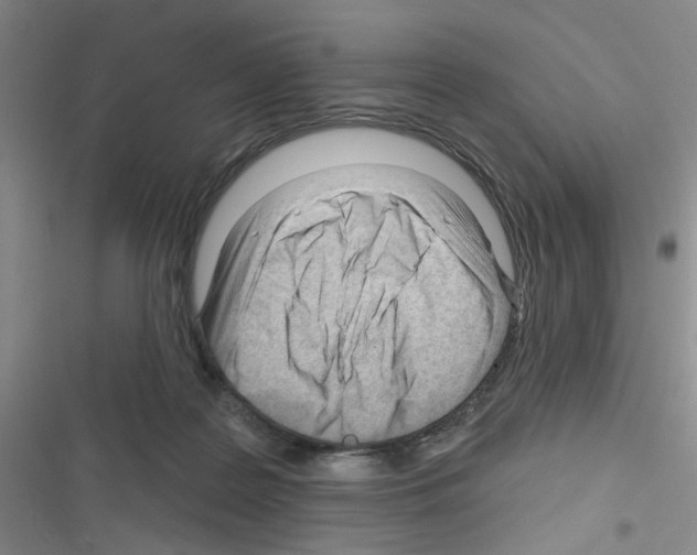 X0000116340219201001131052