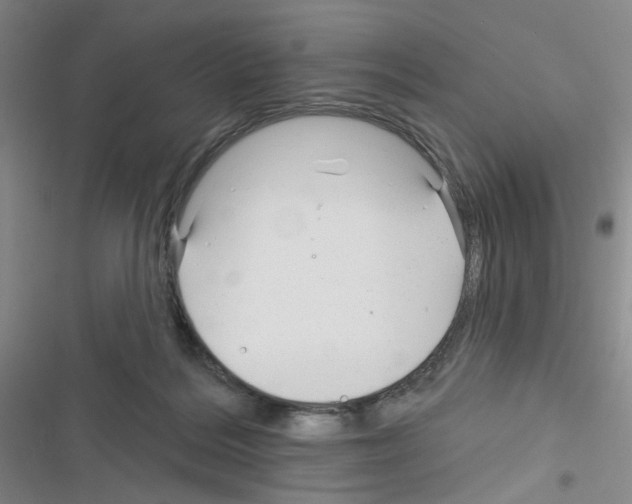 X0000116340220201001131052