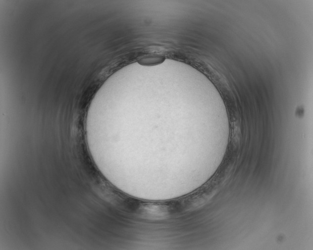 X0000116340221201001131052