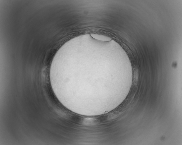 X0000116340222201001131052