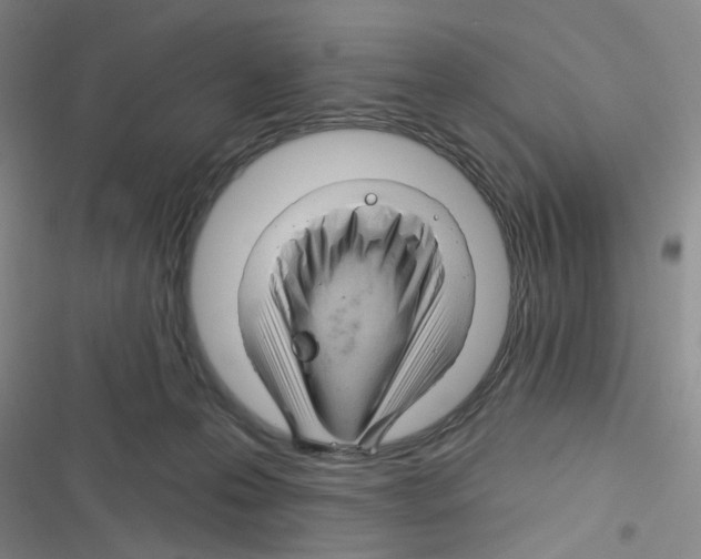 X0000116340223201001131052