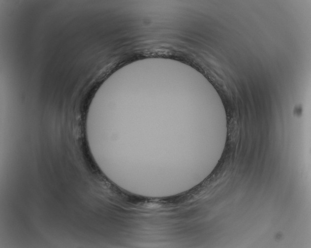 X0000116340224201001131052