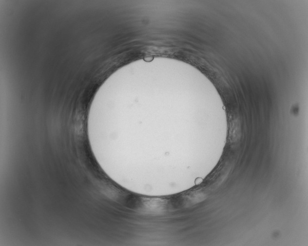 X0000116340226201001131052