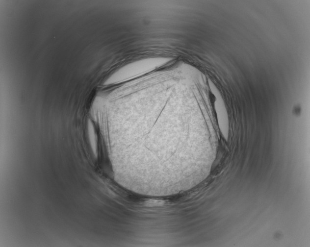 X0000116340227201001131052