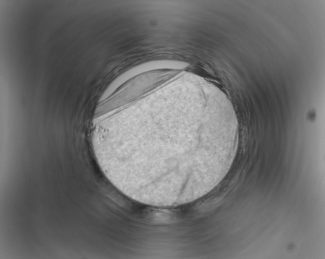 X0000116340229201001131052