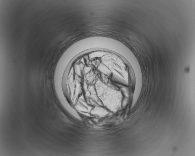 X0000116340231201001131052