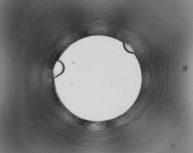 X0000116340232201001131052