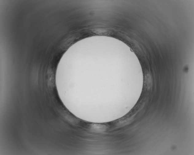 X0000116340234201001131052