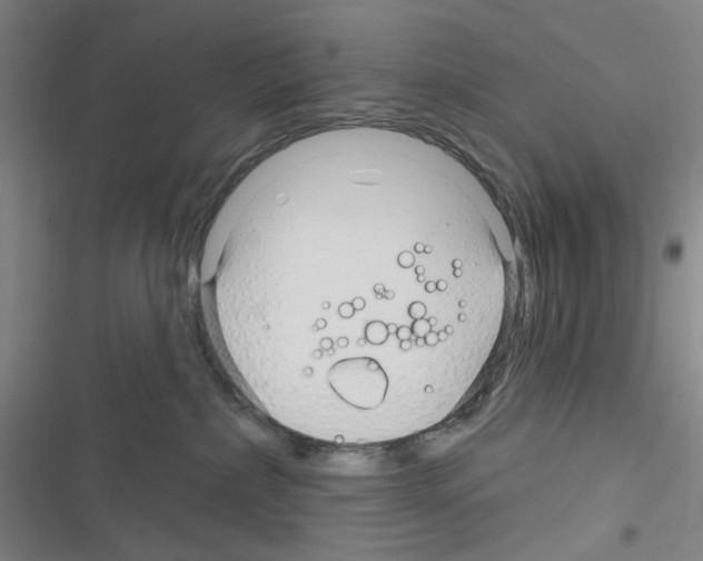 X0000116340236201001131052