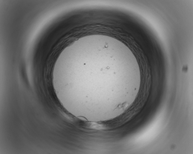 X0000116340239201001131052