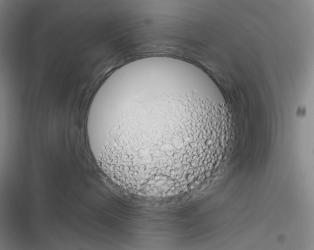 X0000116340240201001131052