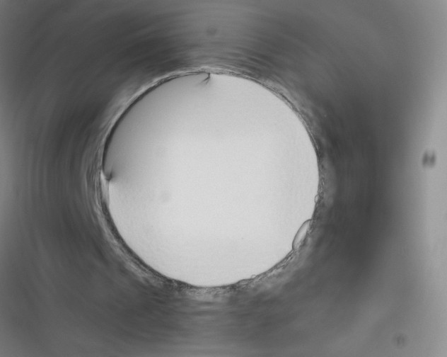 X0000116340241201001131051