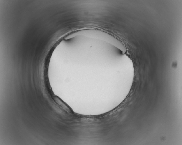 X0000116340242201001131051