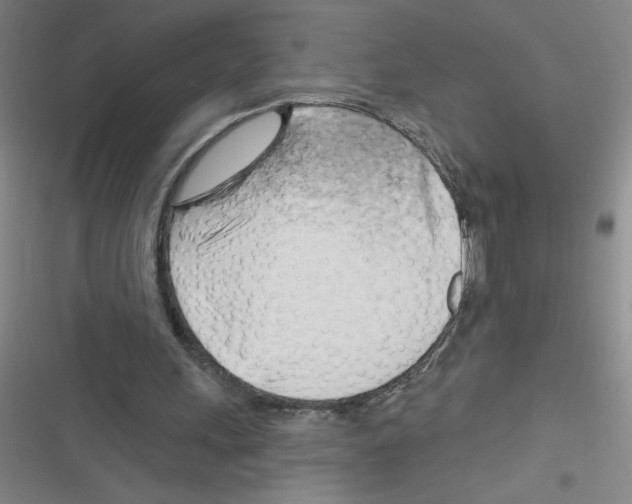 X0000116340243201001131051