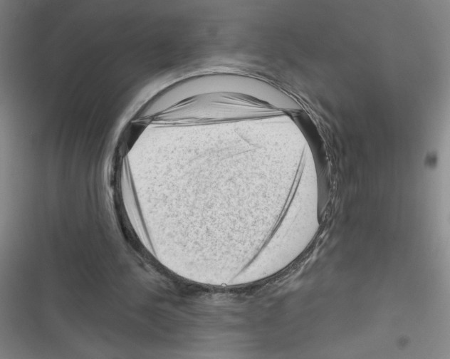 X0000116340244201001131051