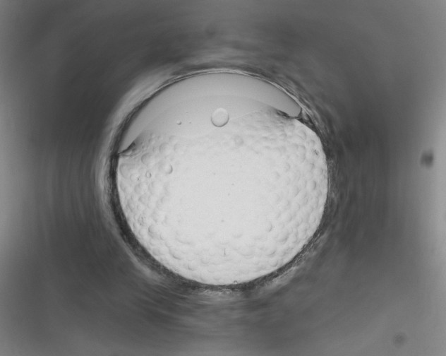 X0000116340245201001131051