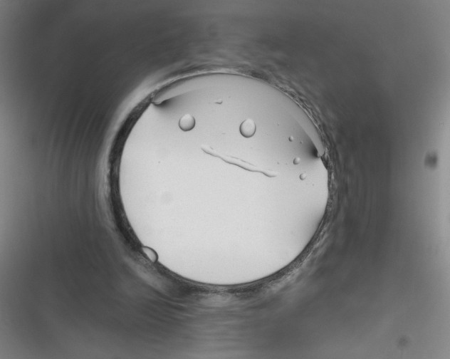 X0000116340246201001131051