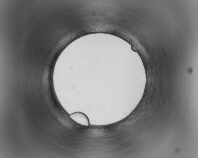 X0000116340250201001131051