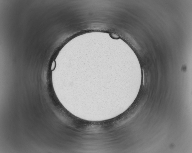 X0000116340252201001131051