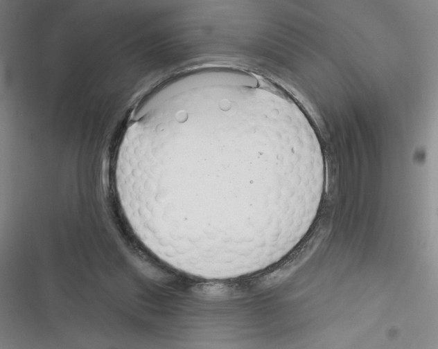 X0000116340253201001131051