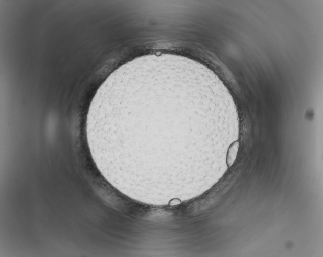 X0000116340257201001131051