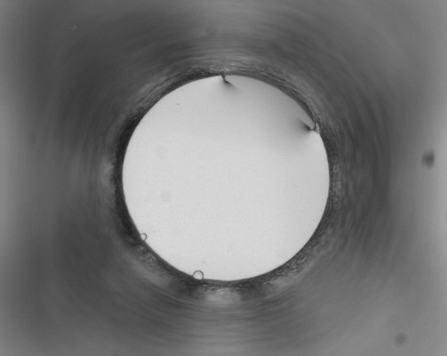 X0000116340258201001131051