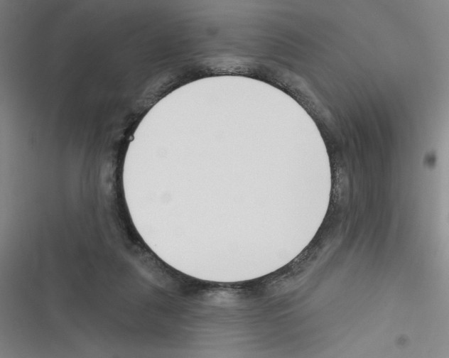 X0000116340259201001131051