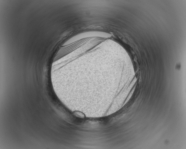 X0000116340260201001131051