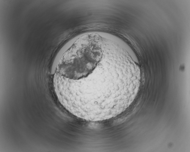 X0000116340261201001131051