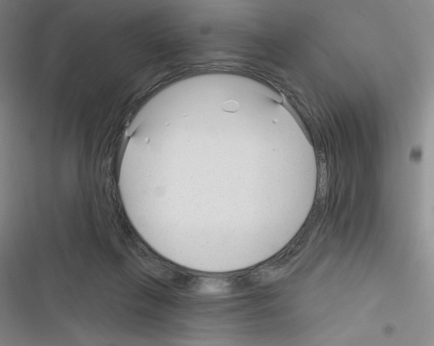 X0000116340263201001131051