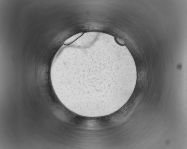 X0000116340264201001131051