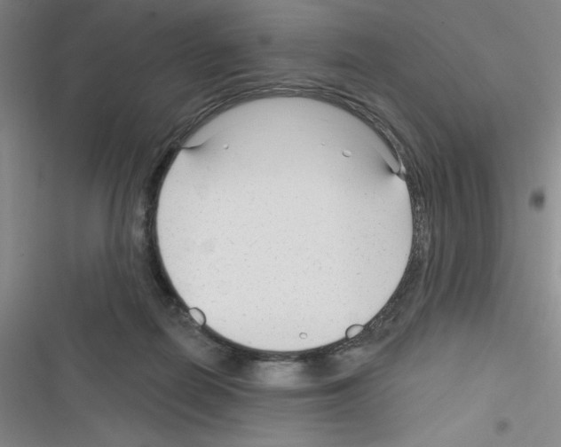 X0000116340266201001131051