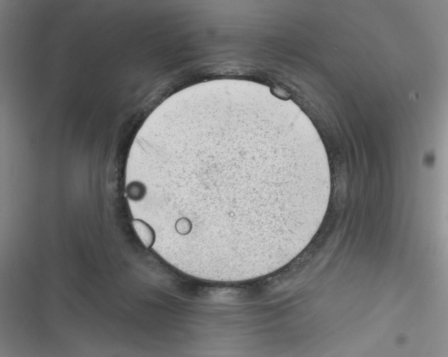 X0000116340268201001131051