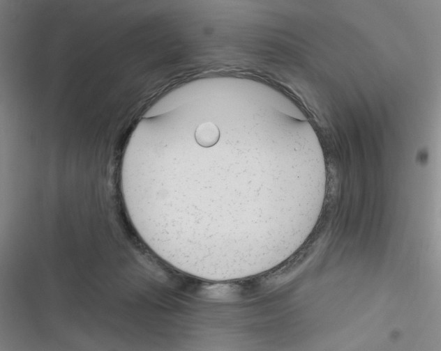 X0000116340269201001131051