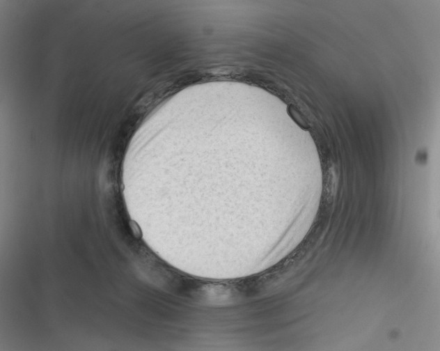 X0000116340272201001131051