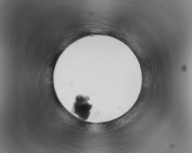 X0000116340273201001131051