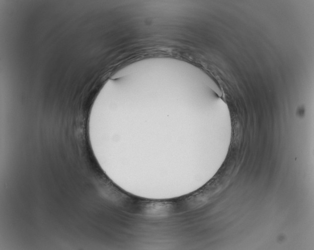 X0000116340274201001131051