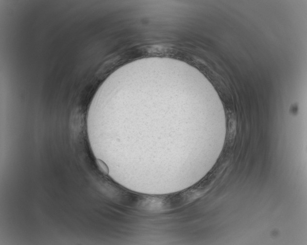 X0000116340276201001131051