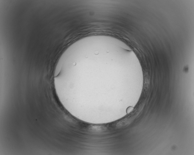 X0000116340277201001131051