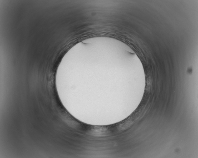 X0000116340278201001131051