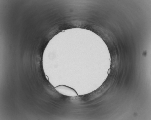 X0000116340279201001131051