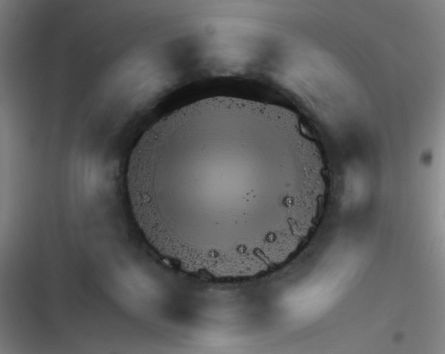 X0000116340280201001131051